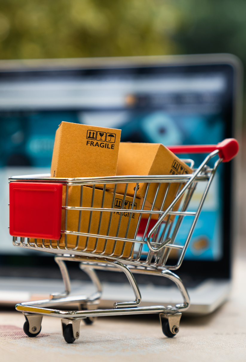 catalogo online per pa Bergonzi Ufficio